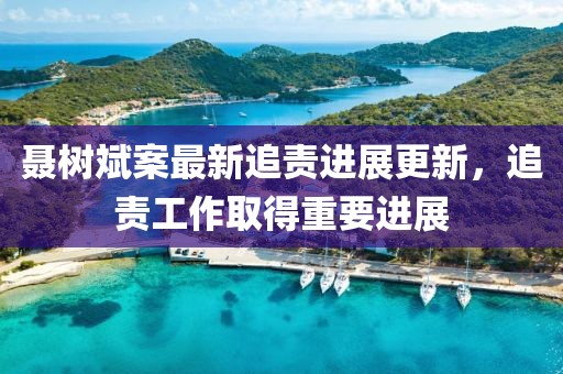 聶樹斌案最新追責進展更新，追責工作取得重要進展
