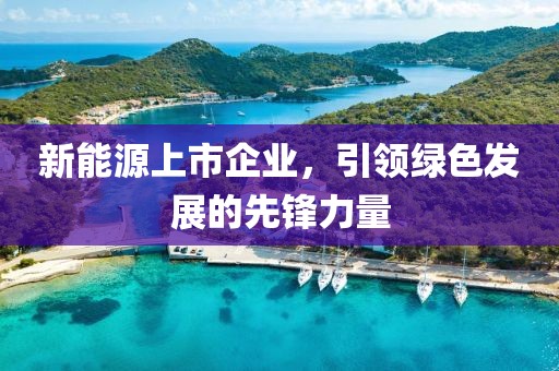 新能源上市企業，引領綠色發展的先鋒力量