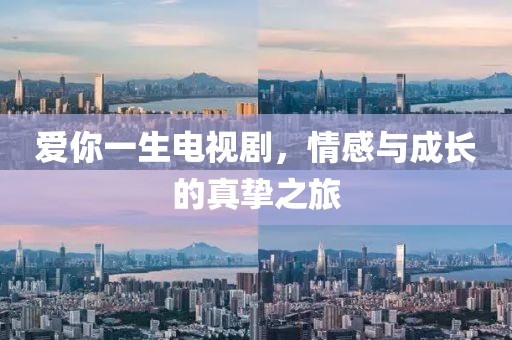 愛你一生電視劇，情感與成長的真摯之旅