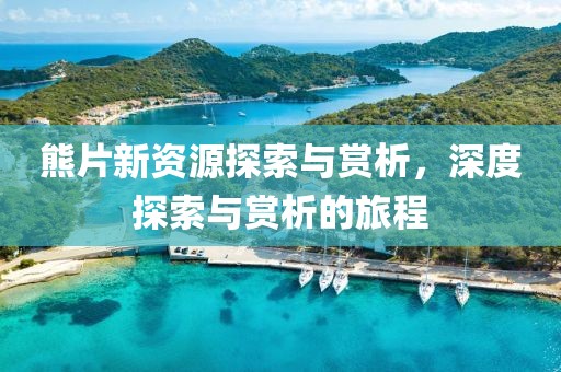 熊片新資源探索與賞析，深度探索與賞析的旅程