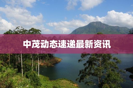 中茂動態速遞最新資訊