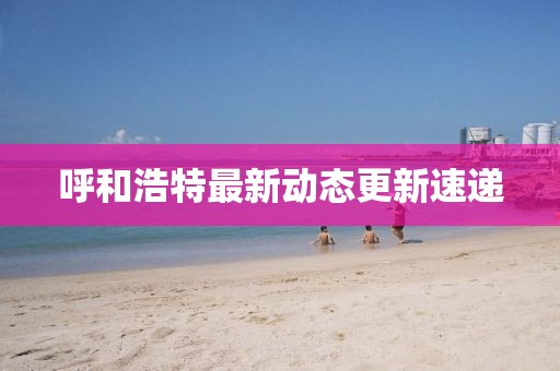 呼和浩特最新動態更新速遞