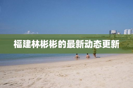 福建林彬彬的最新動態更新