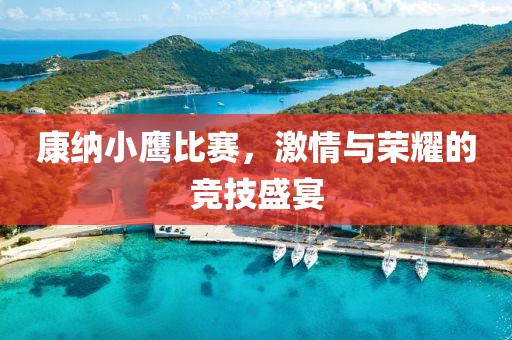 康納小鷹比賽，激情與榮耀的競技盛宴