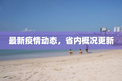 最新疫情動態，省內概況更新