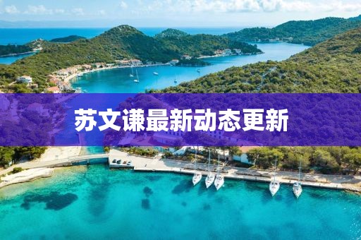 蘇文謙最新動態更新