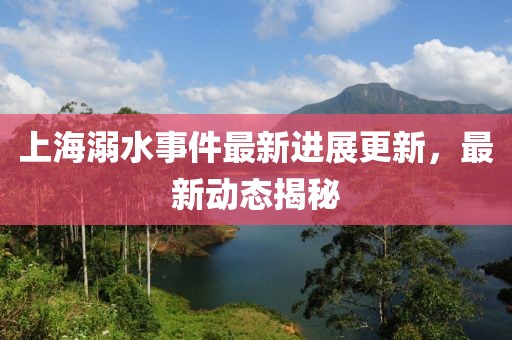 上海溺水事件最新進展更新，最新動態揭秘