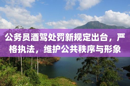公務員酒駕處罰新規定出臺，嚴格執法，維護公共秩序與形象