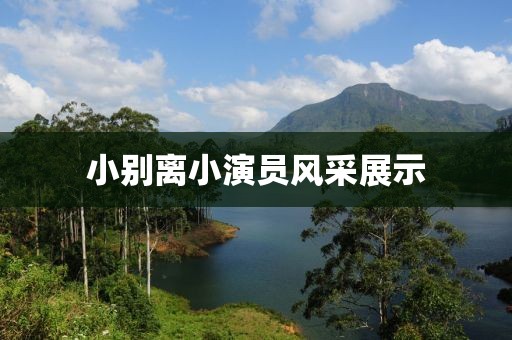 小別離小演員風采展示