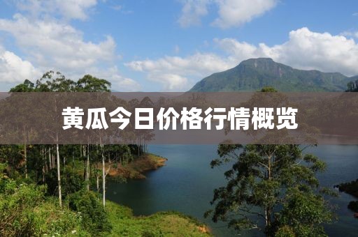 黃瓜今日價格行情概覽