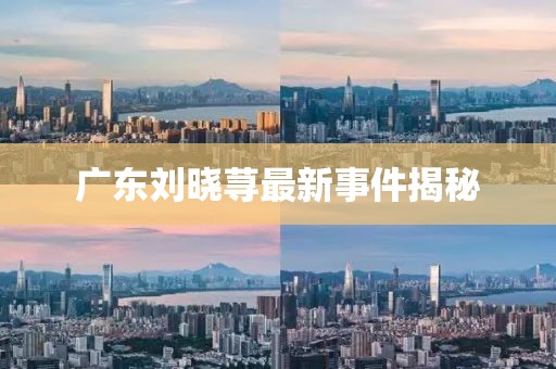 廣東劉曉蕁最新事件揭秘