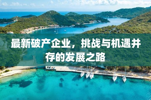 最新破產企業，挑戰與機遇并存的發展之路