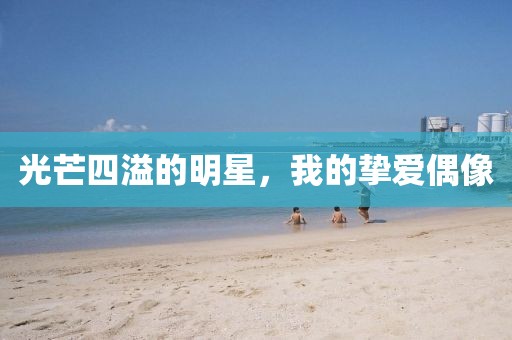 光芒四溢的明星，我的摯愛偶像