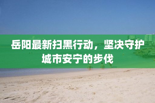 岳陽最新掃黑行動，堅決守護城市安寧的步伐