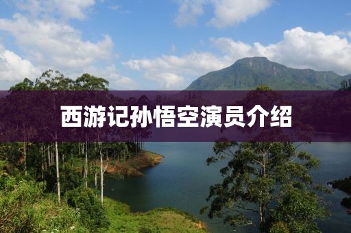 西游記孫悟空演員介紹