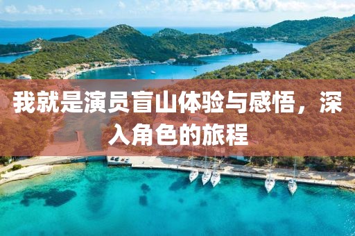 我就是演員盲山體驗與感悟，深入角色的旅程
