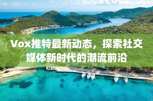Vox推特最新動態，探索社交媒體新時代的潮流前沿