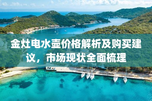 金灶電水壺價格解析及購買建議，市場現狀全面梳理