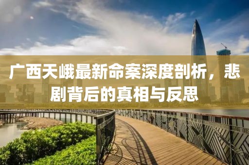 廣西天峨最新命案深度剖析，悲劇背后的真相與反思