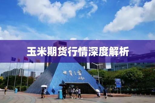 玉米期貨行情深度解析