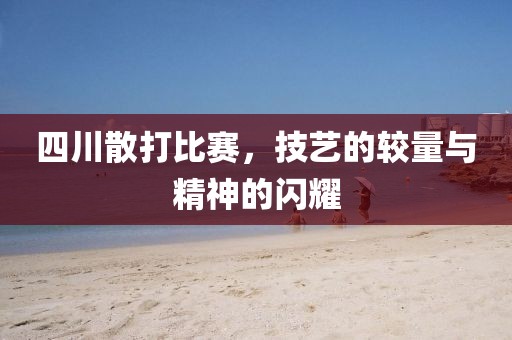 四川散打比賽，技藝的較量與精神的閃耀