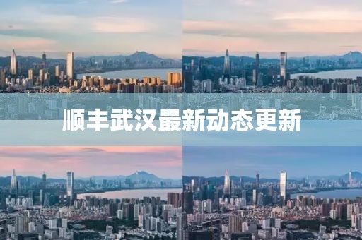 順豐武漢最新動態更新