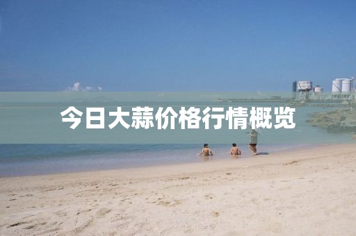今日大蒜價格行情概覽