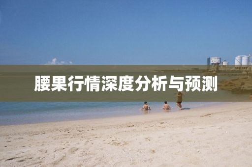 腰果行情深度分析與預測
