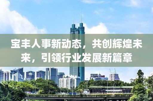 寶豐人事新動態，共創輝煌未來，引領行業發展新篇章
