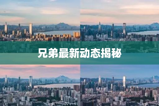 兄弟最新動態揭秘