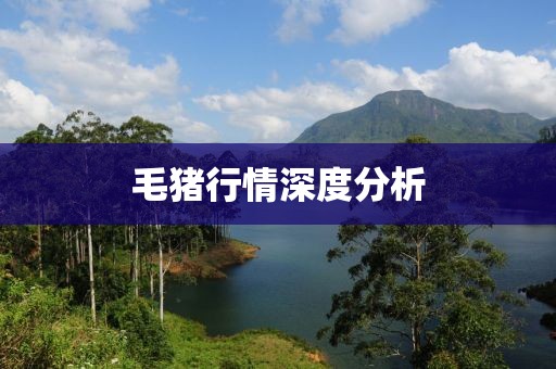 毛豬行情深度分析