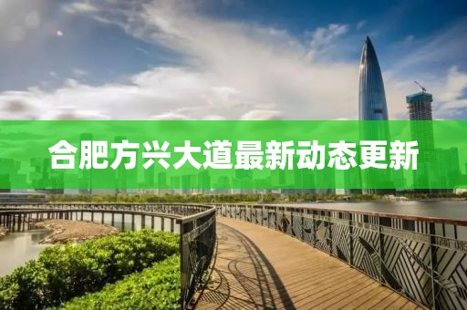 合肥方興大道最新動態更新