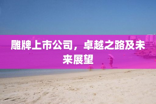雕牌上市公司，卓越之路及未來展望