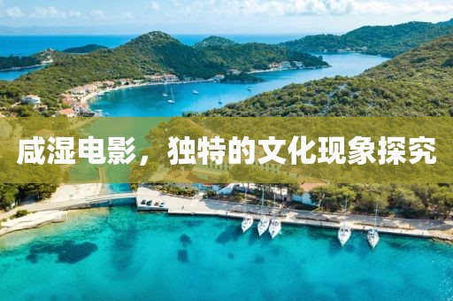 咸濕電影，獨特的文化現象探究