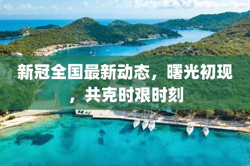 新冠全國最新動態，曙光初現，共克時艱時刻