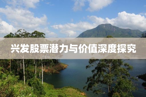 興發股票潛力與價值深度探究