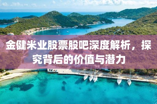 金健米業股票股吧深度解析，探究背后的價值與潛力