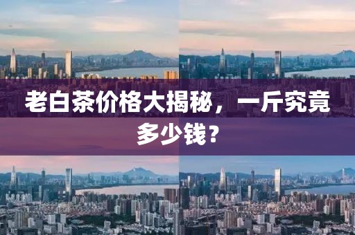 老白茶價格大揭秘，一斤究竟多少錢？