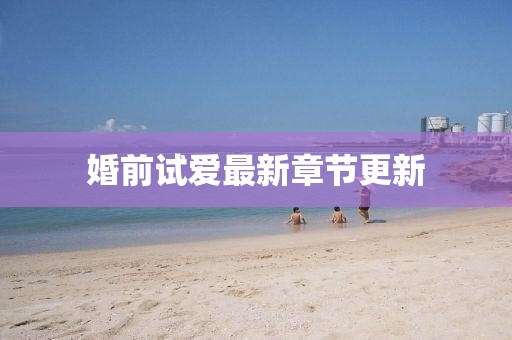 婚前試愛最新章節更新