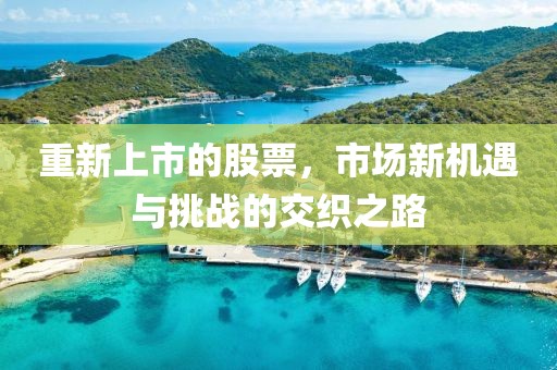 重新上市的股票，市場新機遇與挑戰的交織之路