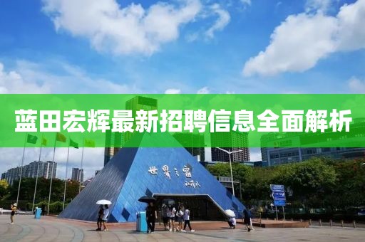 藍田宏輝最新招聘信息全面解析