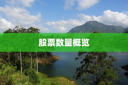 股票數量概覽