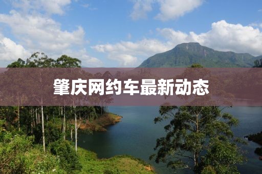 肇慶網約車最新動態