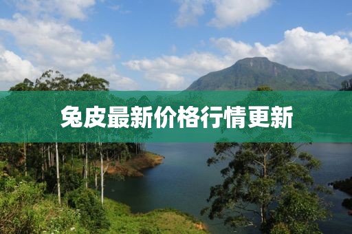 兔皮最新價格行情更新