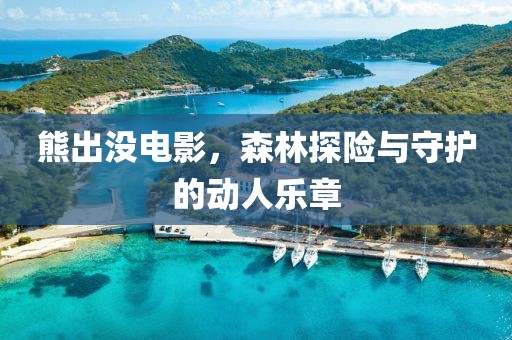 熊出沒電影，森林探險與守護的動人樂章