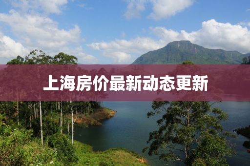 上海房價最新動態更新