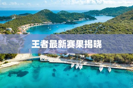 王者最新賽果揭曉
