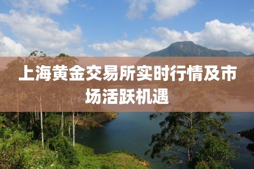 上海黃金交易所實時行情及市場活躍機遇
