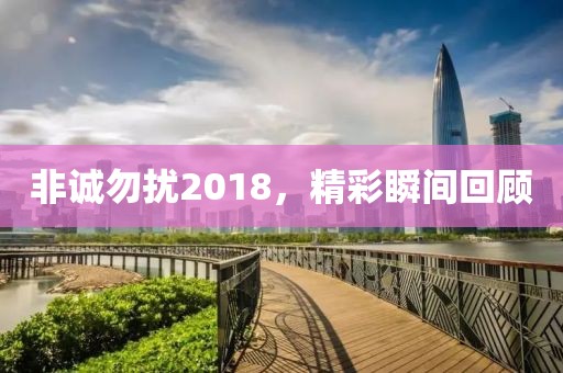 非誠勿擾2018，精彩瞬間回顧