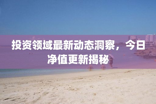 投資領域最新動態洞察，今日凈值更新揭秘